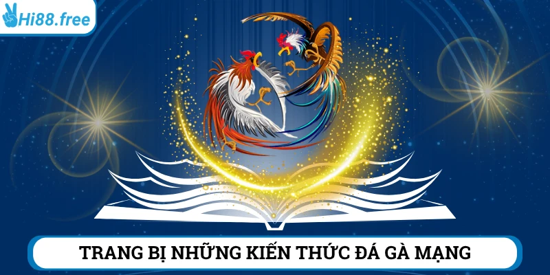 Trang bị kiến thức cách chơi gà mạng luôn thắng vững chắc trước khi chơi