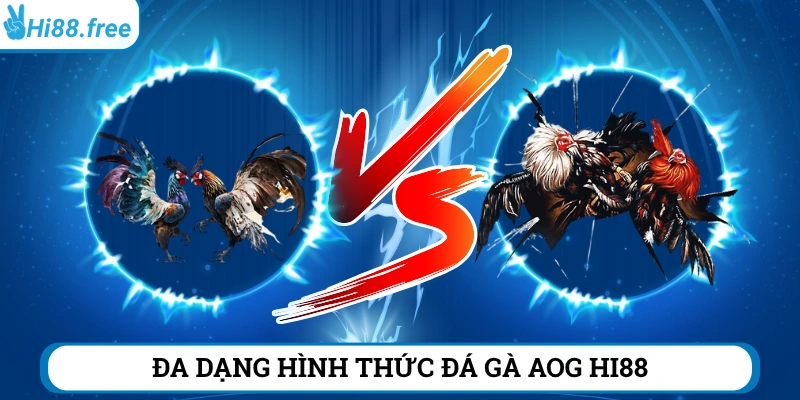 Đa dạng loại hình đá gà trực tuyến tại AOG 