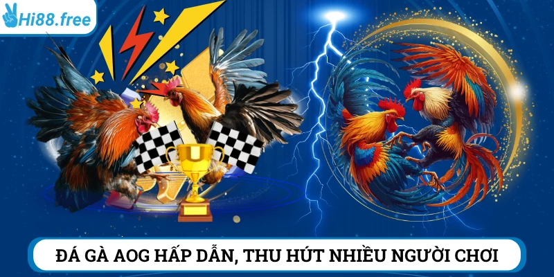 Sảnh đá gà AOG Hi88 thu hút hàng triệu người chơi 