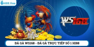 đá gà WS168 Hi88
