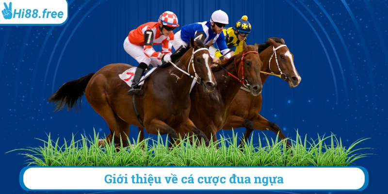 Giới thiệu về cá cược đua ngựa
