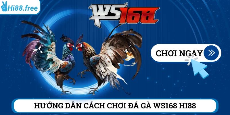 Hướng dẫn luật chơi đá gà WS168 tại Hi88