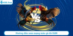 Hướng dẫn xem mạng màu gà đá hi88