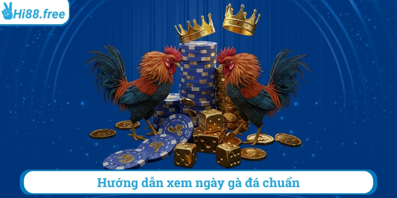 Hướng dẫn xem ngày đá gà chuẩn