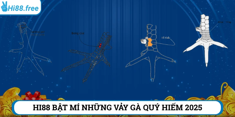 Vảy gà quý hiếm - Điều mà các sư kê luôn săn đón
