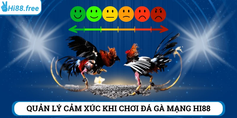 Quản lý tốt cảm xúc là vũ khí tối thượng khi cá cược đá gà